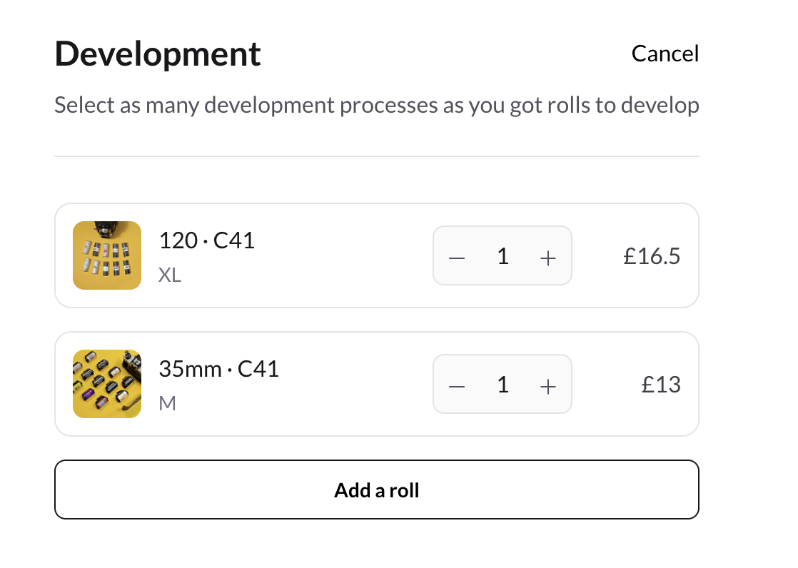 Placing an order in the Analogica app (screenshot)